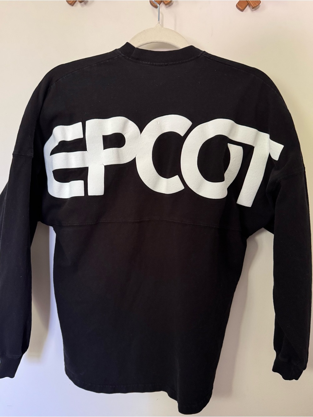 Disney World Epcot Spirit Jersey